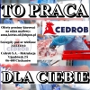 Mechanik/Elektromechanik (M/K) Ujazdówek -nadzór n